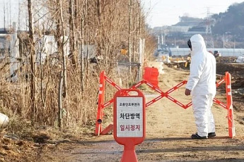 AI 항원 검출...전북 김제시 산란계 농장서