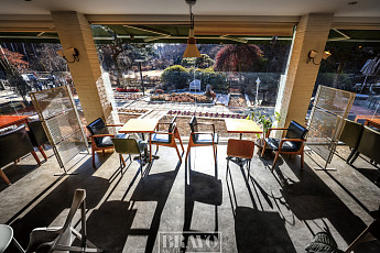 말을 못 할 뿐, 나무도 사람과 같다 교감하라! 갈 길이 보인다