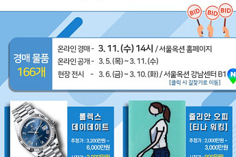 에르메스 버킨백 650만원?…국세청, 압류물품 492점 3월 공매
