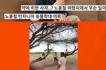 노홍철, '사자 학대' 논란에 정면 돌파⋯