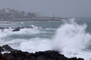 제주 강풍 피해 속출…나무·가로등 쓰러지고 유리문 깨지고