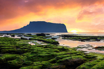 세계 25대 여행지...제주도 선정 됐다
