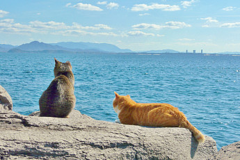 독특한 테마 결합한 ‘이색 여행’ 대세…동물·IP·문화 콘텐츠까지 섭렵[주말&]