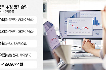 코스피 급락도 급등도 못탄 개미⋯삼전ㆍSK하닉 ‘줍줍’ 눈치싸움에서 졌다