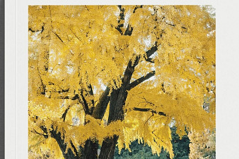 '보호수에 깃든 설화'...전북도 역사·생태·문화적 의미 담아