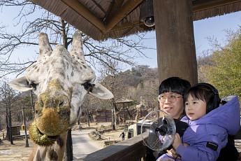 초등생 등 어린이 대상 에버랜드 ‘이큐브스쿨’, 동식물 체험 교육 확대