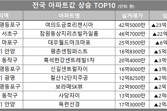 [아파트값 상승 톱10] 서울 서초구 ‘잠원동상지리츠빌카일룸’ 등