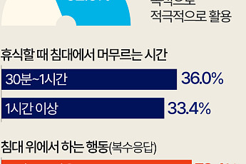 '제2의 거실' 된 침실…소파 아닌 침대에서 놀고 쉰다 [데이터클립]