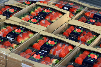 K-푸드 수출 막는 ‘비관세장벽’ 현장에서 푼다…농식품부, 수출업계 간담회