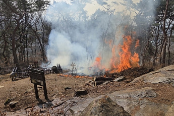 수원 팔달산 화재, 방화범 긴급체포