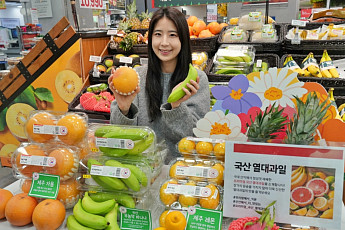 롯데마트, 국산 무농약 바나나·제주 레몬 등 전국 15개점서 선봬