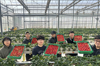 쿠팡, 인구감소지역 딸기 3000톤 매입…지방 농가 ‘구원투수’ 자처