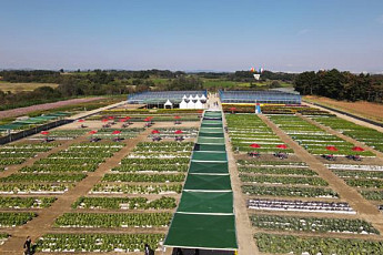 종자·묘목·애그테크 한자리에…‘2026 국제종자박람회’ 참가 신청 시작