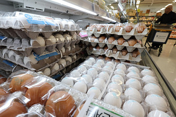 전염병 확산에 닭‧돼지고기‧한우 등 축산물값 고공행진...‘계란 10개 4000원’[물가 돋보기]