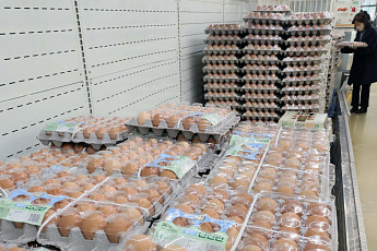 농산물값 꺾였지만 축산물은 불안…정부, AI·ASF 방역·수입란 공급 총력