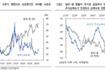 iM증권 “고환율, 악재만은 아냐…반도체·자동차 실적엔 오히려 긍정”