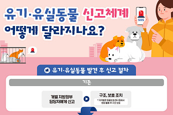 헤매던 유기동물 신고, 이제 한 번에…1577-0954 전용창구 신설