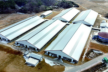 악취·민원 키운 축사, 한 곳에 모은다…스마트축산단지 조성 공모 착수