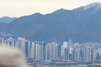[치매재산관리서비스 쟁점②] 주택연금 치매 대응 이미 존재 ‘차별성 관건’