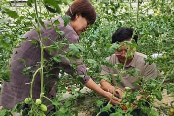 미생물로 수출길 열고 비료는 줄였다…농진청 연구가 바꾼 농업 현장