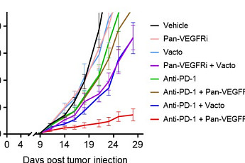메드팩토, 대장암 삼제병용 전임상 성과 AACR 발표
