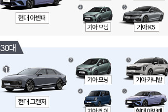 '20대는 아반떼, 60대는 포터'…세대별 중고차 1위는 [데이터클립]