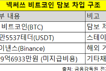 비트코인 담보로 바이낸스서 테더 차입…상장사 가상자산 운용 전략 확장