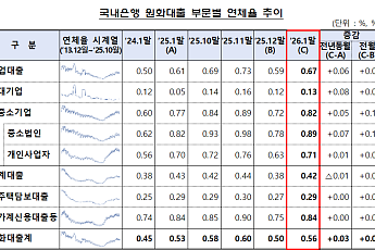 기업·가계 대출 부실 ‘고개’…은행 연체율 한 달 새 0.06%p↑