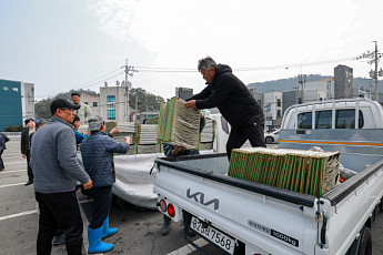 '다시마 종자 생산' 신기술...완도군 도입나서