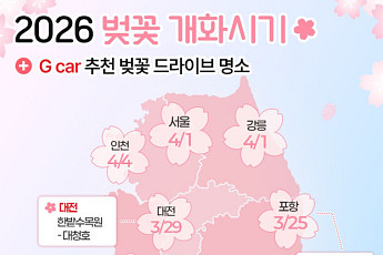 제주·강릉·경주·광주 벚꽃 드라이브, 어디가 좋을까