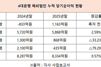 미국이 끌고 중국·인니에 흔들리고…4대 은행 해외실적 온도차
