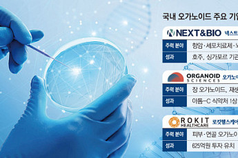 동물실험 대체 ‘오가노이드’ 부상...K-바이오, R&D 강화