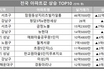 [아파트값 상승 톱10] 서울 서초구 ‘잠원동상지리츠빌카일룸’ 등