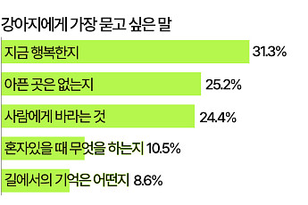 '국제 강아지의 날'…강아지에게 가장 묻고 싶은 말은 