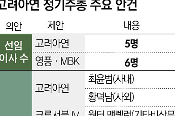 고려아연 주총 D-1…최윤범 이사회 수성 유력