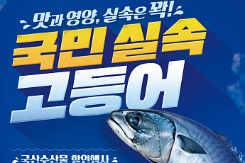 19일간 수산물 최대 50% 할인…'국민 실속 고등어' 공급