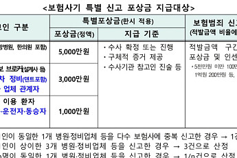 금감원, 보험사기 제보시 5000만원⋯포상기간 10월까지 연장
