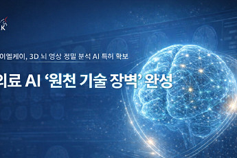 제이엘케이, 3D 뇌 영상 정밀 분석 AI 국내 특허 확보