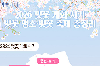 2026 벚꽃 개화 시기·벚꽃 명소·벚꽃 축제 총정리 [그래픽 스토리]
