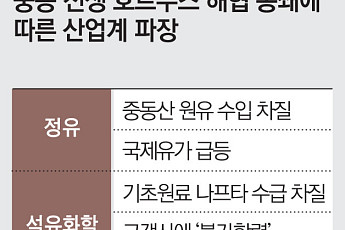 에틸렌 바닥난 船·부품 끊긴 車…호르무즈에 갇힌 ‘K-산업 생명선’ [이란 전쟁 한달]