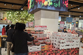 “라면값 인하, 체감 안되네요”…쉽게 채우기 힘든 장바구니(르포)[물가 안정 딜레마]