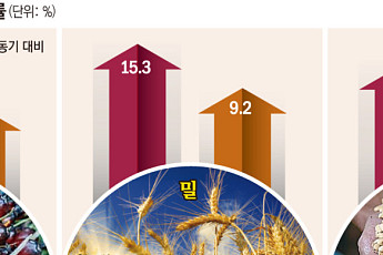 밀·팜유, 환율마저 치솟는데 ‘가격 인하’⋯식품업계 ‘수익성 악화’ 속앓이[물가 안정 딜레마]