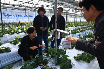 AI로 병충해 20% 줄이고 생산량 18% 늘렸다…송미령, 영월서 ‘농업 AX’ 현장 점검