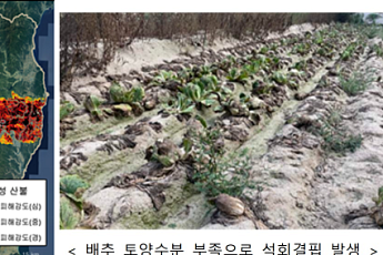 108년 만 가뭄·시간당 100㎜ 폭우…2025년 기후위기 현실화