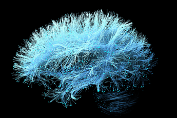 [BioS]SK바이오팜, '세노바메이트' 뇌전증 