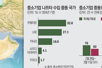 화장품·중고차 수출에 나프타 수급도 직격탄...중동전쟁에 中企 피해 눈덩이
