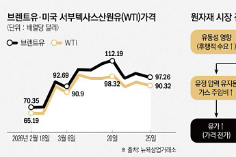 종전 기대감에도 “가격 정상화 한참 걸려”...L자형 침체 엄습 [물류 대동맥 경화]