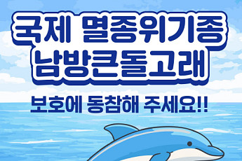 제주도 '돌고래 관광' 방식 전환