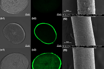 아모레퍼시픽, AIㆍ분자모델링 기반 모발 케라틴 강화 펩타이드 개발
