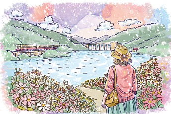 물 위에 핀 코스모스